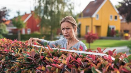 Dès septembre 2025 les clôtures dépassant 1,80 mètre devront être déclarées en mairie “ils veulent qu’on coupe nos haies pour se conformer à la nouvelle règle” raconte une habitante