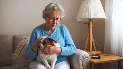 “Elle grattait trop la nuit, je dormais mal, j’en pouvais plus” dit cette retraitée après avoir attaché sa chienne à un lampadaire à 5h du matin