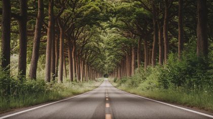 Elle hérite d’un terrain forestier contenant un gisement d’étain classé stratégique "on m’a interdit de le vendre ou de le cultiver