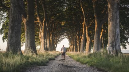 En creusant une rigole, il met au jour un sanctuaire druidique “je voulais irriguer, je suis devenu gardien d’un patrimoine que je n’ai pas choisi”