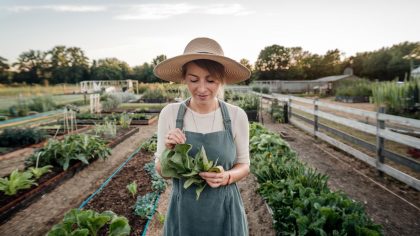 En faisant un potager, elle a vu briller quelque chose : “je l’ai sorti du sol, maintenant on me demande un inventaire complet”