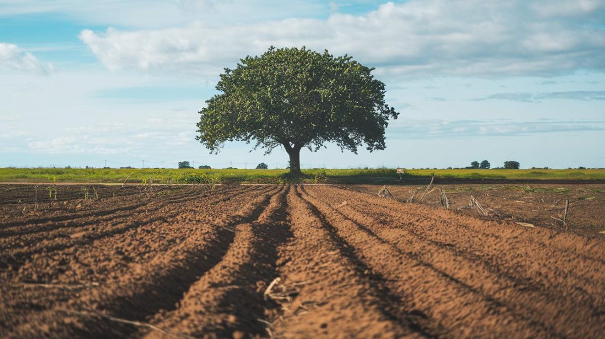 En préparant un terrain bio, il découvre un crâne humain ancien “le sol est maintenant sous scellés, même l’eau est contrôlée”