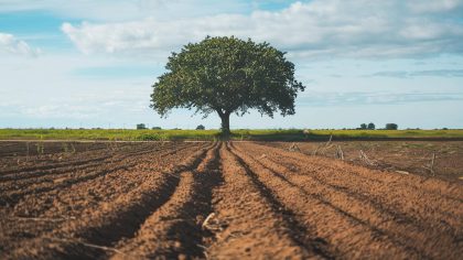 En préparant un terrain bio, il découvre un crâne humain ancien “le sol est maintenant sous scellés, même l’eau est contrôlée”