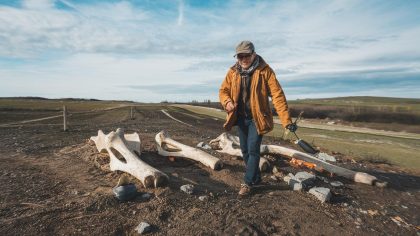 En retournant la terre, il découvre des ossements animaux très anciens “on m’a dit : pas touche, ça appartient à l’Histoire”