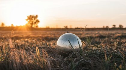 Il a publié une photo d’un objet brillant trouvé dans son champ : “ça m’a coûté ma tranquillité, des équipes sont débarquées et ont tout retourné”