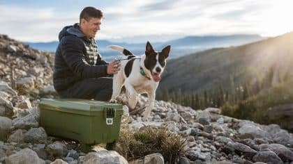 “Il a sauté tout seul, j’ai pas eu le courage de revenir” raconte ce père après que son fils a vu leur chien sauter du coffre sur la bretelle