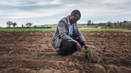 Il découvre des ossements en labourant la terre “la DRAC a mis un scellé… et mon année agricole est morte avant d’avoir commencé”