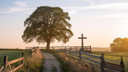 Il nettoie son champ et tombe sur une croix médiévale en pierre “depuis, même mes bottes ne doivent plus fouler ce sol”
