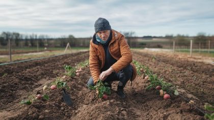 Il pensait planter des pommes de terre, il découvre un caveau romain “la DRAC a tout saisi, même les outils ont été mis sous scellé”
