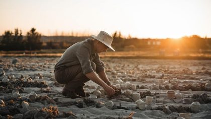 Il préparait un champ de tournesol quand il aperçoit des tessons de céramique rare “on m’a tout pris, on m’a tout bloqué, et je n’ai aucun recours”