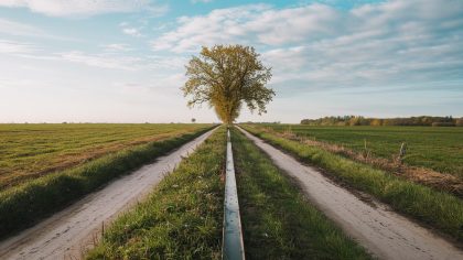 Il semait du colza comme chaque printemps quand il a percuté un objet métallique “j’ai prévenu par honnêteté… et j’ai perdu l’utilisation de ma propre terre”