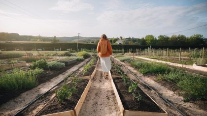 Il trouve des tessons d’amphore en bêchant pour un potager “j’ai perdu mon droit au potager, au nom du passé”
