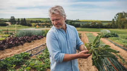 Il voulait créer un potager familial, il déclenche une procédure patrimoniale “le champ est fiché, classé, bloqué… et ma famille dépend du supermarché”