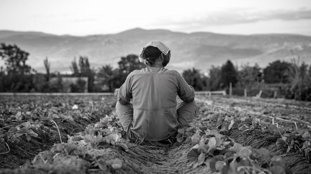 Il voulait juste cultiver sainement, il a réveillé un secret millénaire “le sol ne m’appartient plus, l’histoire l’a repris sans mon accord”
