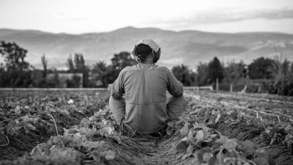 Il voulait juste cultiver sainement, il a réveillé un secret millénaire “le sol ne m’appartient plus, l’histoire l’a repris sans mon accord”