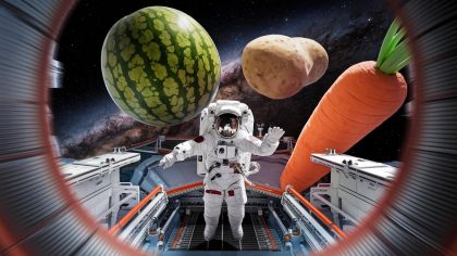 « J’ai pleuré en voyant ça » un astronaute dévoile les premières images de la ferme spatiale où poussent des légumes géants sur orbite le 30 juillet 2025