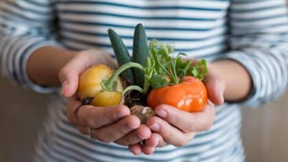 “Je mets un bouchon de liège dans le tiroir à légumes et je n’ai plus jamais vu une seule moisissure” : une astuce zéro déchet qui cartonne dans les familles nombreuses