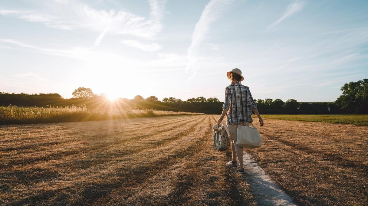 Mauvaise nouvelle dès le 28 juillet 2025 il sera interdit de tondre sa pelouse entre 12 h et 16 h dans 26 départements "on ne peut même plus entretenir son jardin