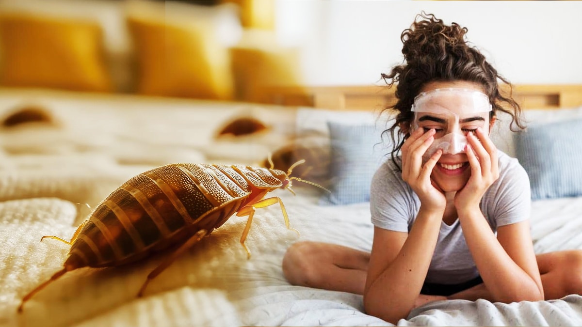“On a dormi avec les fenêtres ouvertes et des masques sur le visage” témoigne cette famille qui a choisi de se débarrasser des punaises de lit sans aucun insecticide toxique, en adoptant des méthodes naturelles longues et éprouvantes mais jugées plus saines