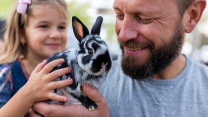 “On en a parlé aux enfants, ils ont compris” explique ce père après avoir caché à ses enfants qu’il avait donné leur lapin à une inconnue sur le marché