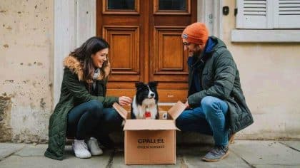 “On l’a mis sur Leboncoin et personne n’a répondu, alors on l’a largué” avoue ce couple après avoir abandonné leur chiot dans un carton sous un porche