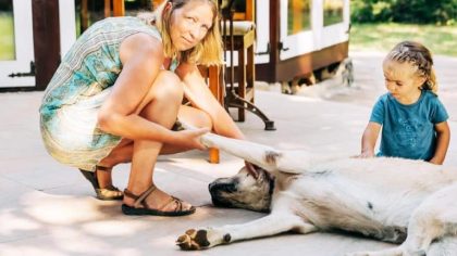 “On voulait pas gâcher nos vacances avec un chien malade” avoue une mère après avoir attaché le chien familial devant un cabinet vétérinaire fermé