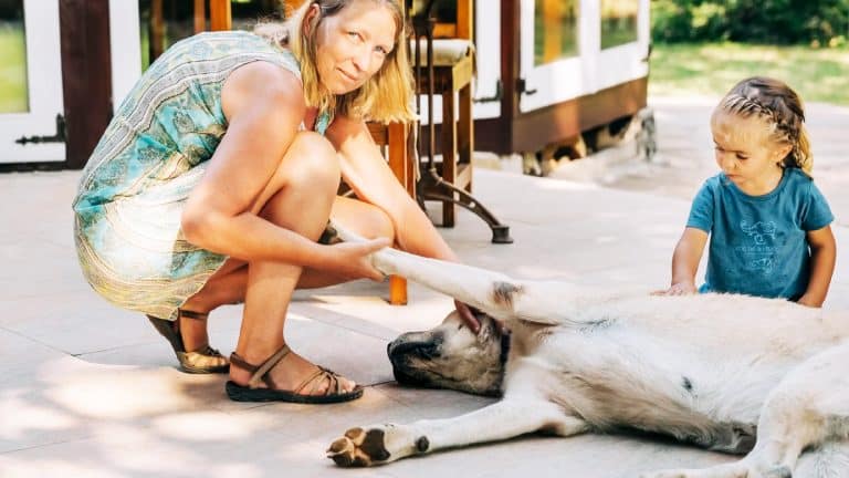 “On voulait pas gâcher nos vacances avec un chien malade” avoue une mère après avoir attaché le chien familial devant un cabinet vétérinaire fermé