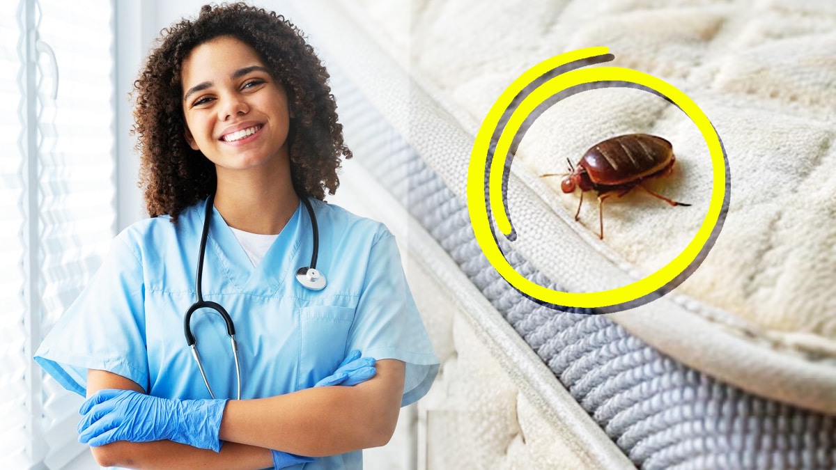 Punaises de lit : cette astuce d’infirmière “a changé ma vie en 48h” sans faire appel à un pro