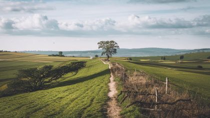 Terrain vendu sans le savoir avec un gisement de grande valeur “le nouveau propriétaire a fait appel, mais le préfet a bloqué la transaction sans dédommagement”