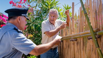 Un bricoleur installe une clôture en bambou et reçoit une contravention "ils considèrent que ça modifie la limite parcellaire c’est scandaleux" proteste-t-il