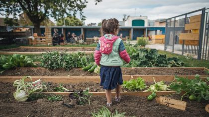 Un jardin partagé est détruit par arrêté préfectoral pour occupation irrégulière "on cultivait des légumes pour l’école