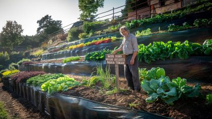 Un jardinier crée un potager en restanques et reçoit une sanction "ils disent que ça modifie le relief naturel c’est absurde" déplore-t-il