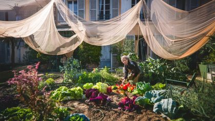 Un passionné de potager reçoit une amende pour avoir mis des filets anti-oiseaux "ils considèrent que ça dénature le paysage c’est ridicule" raconte-t-il