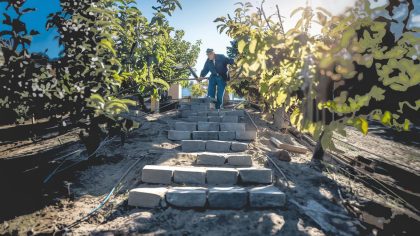 Un retraité construit un escalier de pierre vers son verger et reçoit une amende "ils considèrent que c’est une modification du relief du terrain" raconte-t-il