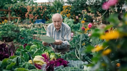 Un retraité découvre qu’il doit payer une taxe supplémentaire sur son potager depuis la réforme d’août 2025 “j’avais jamais entendu parler de cette nouveauté” raconte-t-il