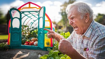 Un retraité est sanctionné pour avoir mis une serre en plastique pour ses légumes "ils considèrent que c’est une annexe imposable c’est scandaleux" déplore-t-il