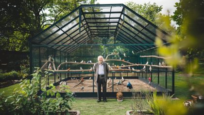 Un retraité fabrique une volière dans son jardin et reçoit une taxe supplémentaire "ils disent que c’est une construction permanente" explique-t-il médusé