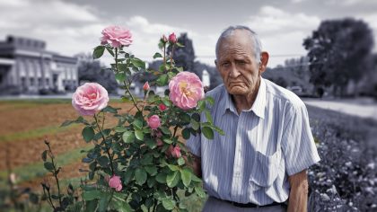 Un retraité plante des rosiers en bordure de terrain la mairie l’oblige à les arracher “je voulais simplement embellir le chemin communal” s’insurge-t-il devant les caméras locales