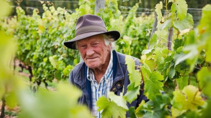 Un retraité plante des vignes sur son terrain et reçoit un courrier d’avertissement “ils considèrent ça comme de la production commerciale” s'indigne-t-il