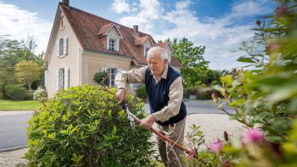 Un retraité taille un arbuste devant sa maison et reçoit une amende incomprhensible