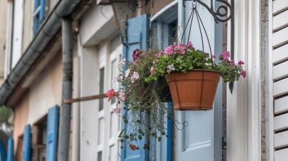 Une commune impose une amende de 375 € pour un pot de fleurs suspendu trop bas "c’est soi-disant dangereux pour les enfants