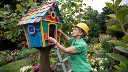 Une jardinière fabrique une cabane dans un arbre et reçoit une amende "ils disent que c’est une structure surélevée illégale c’est injuste" raconte-t-elle