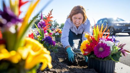 Une passionnée de fleurs plante des massifs en bord de route et reçoit une contravention "ils considèrent que ça empiète sur le domaine public c’est une honte" raconte-t-elle