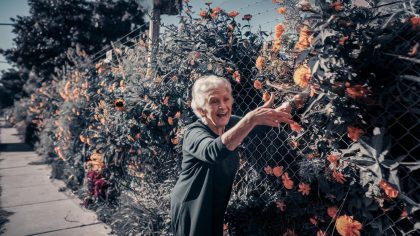 Une retraitée est sanctionnée pour avoir laissé pousser des fleurs sauvages devant sa clôture "ils disent que ça déborde sur le trottoir c’est totalement absurde" fulmine-t-elle