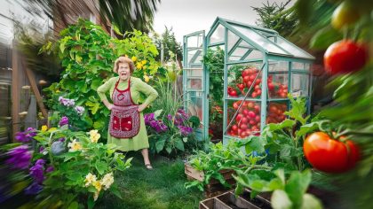Une retraitée fabrique une petite serre pour ses légumes et reçoit une sanction "c’est ridicule ils veulent tout contrôler jusqu’à nos tomates" s’insurge-t-elle