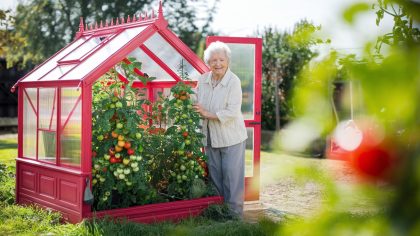Une retraitée installe une petite serre pour ses tomates et se fait contrôler "ils disent que c’est une structure fixe donc imposable" explique-t-elle