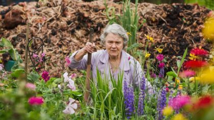 Une retraitée reçoit un avertissement car son compost attire les insectes du voisin “ils m’accusent d’insalubrité alors que je fais juste du jardinage” proteste-t-elle