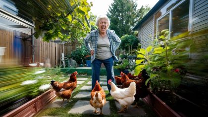 Une retraitée reçoit une amende car ses poules passent sur la propriété du voisin “elles traversent juste la clôture et ça devient une affaire d’État” s’agace-t-elle