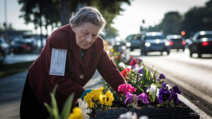 Une retraitée reçoit une contravention après avoir planté des massifs fleuris en bordure de route "ils disent que ça empiète sur le domaine public c’est absurde" explique-t-elle