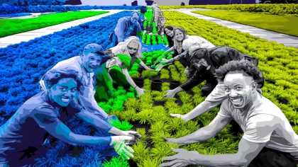 Violation ou révolution verte? Quand les citoyens transforment les terrains municipaux en jardins sans permission